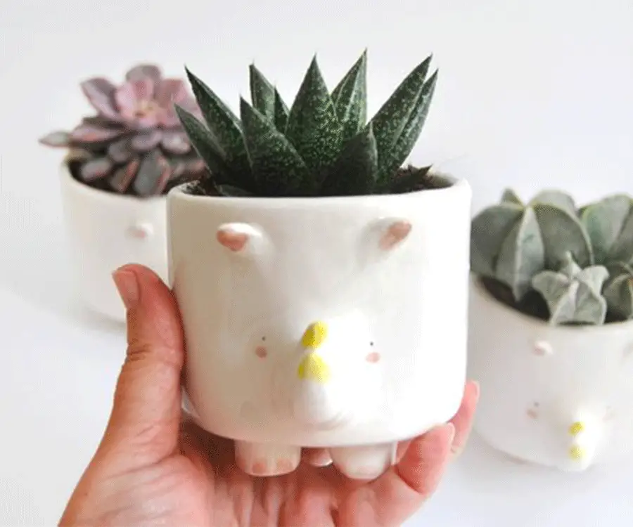 #3 Home Decor Gifts For Her: Cute Chubby Ceramic Rhino Planter
