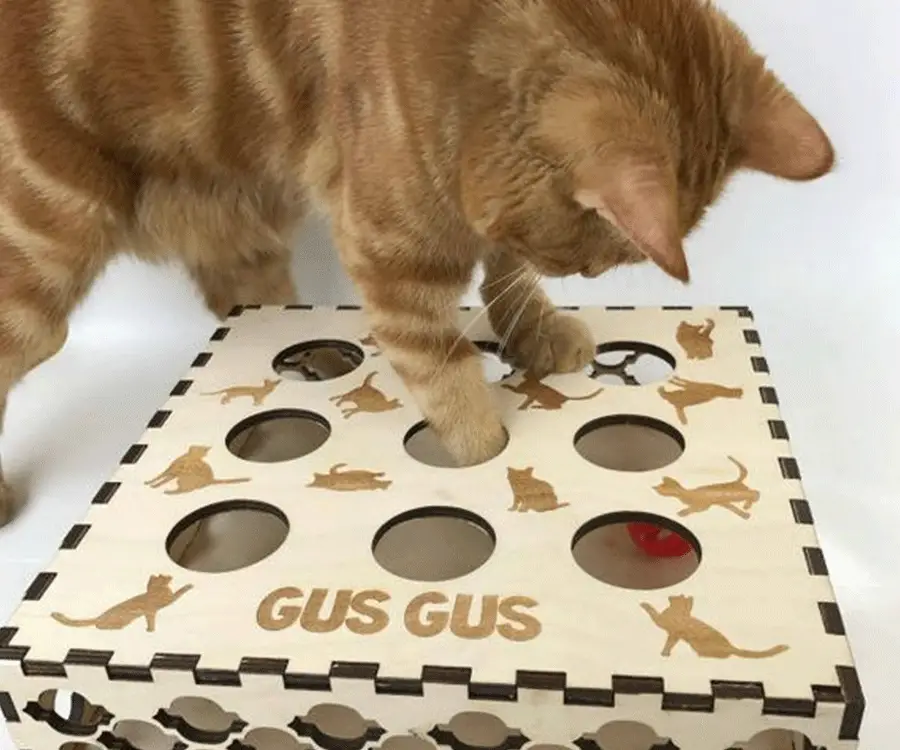 #7 unique gifts for cat lovers: Personalized Puzzle Box