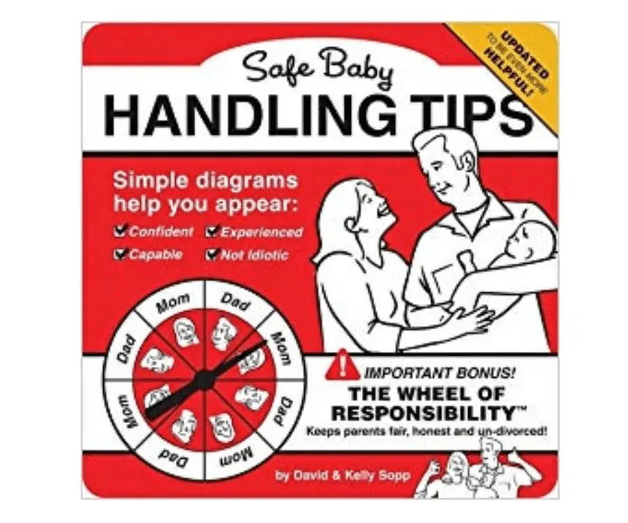 Safe Baby Handling Tip Responsibility Wheel