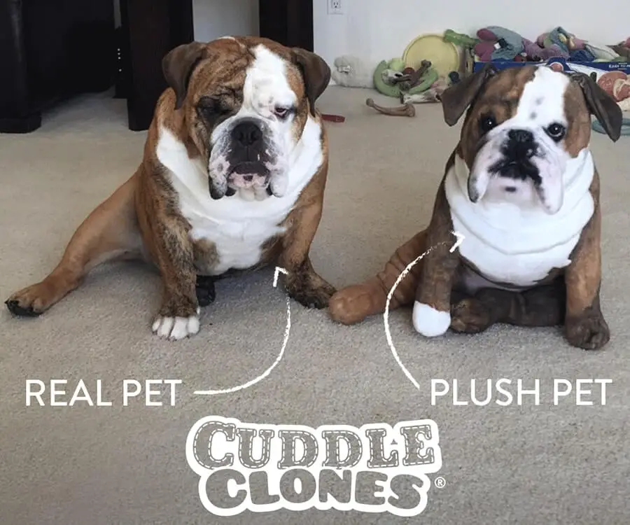 Cuddle Clone Dog Unsmushed