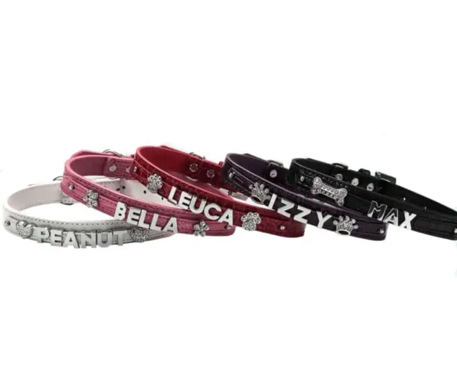 #36 personalized gifts for dog lovers: Personalized Dog Collar