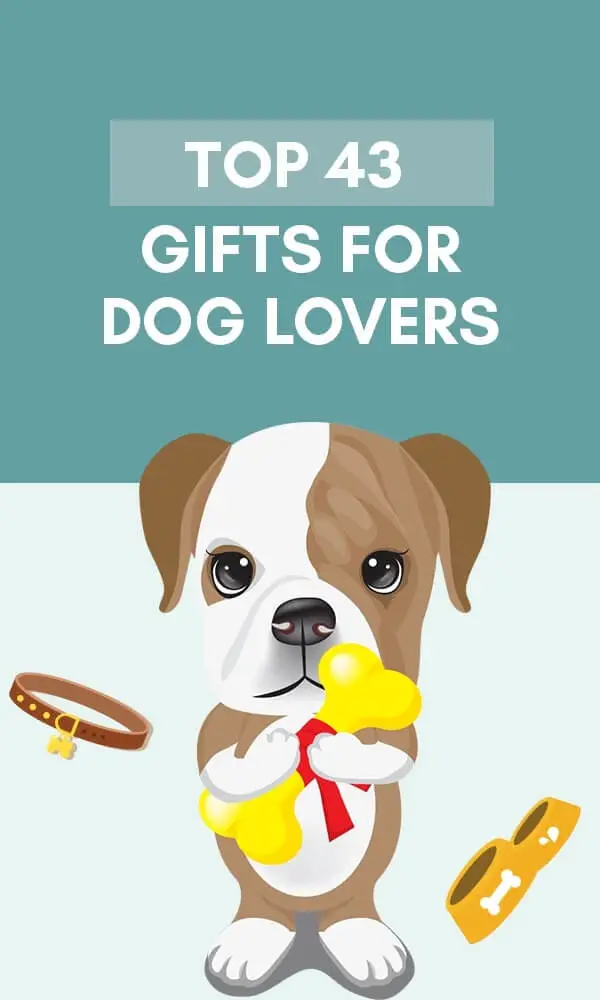 40+ Unique & Funny Gifts For Dog Lovers In 2022