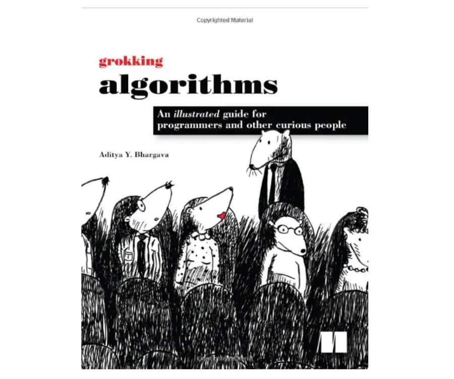 #21 gifts for programmers and coders: Grokking Algorithms: An illustrated guide