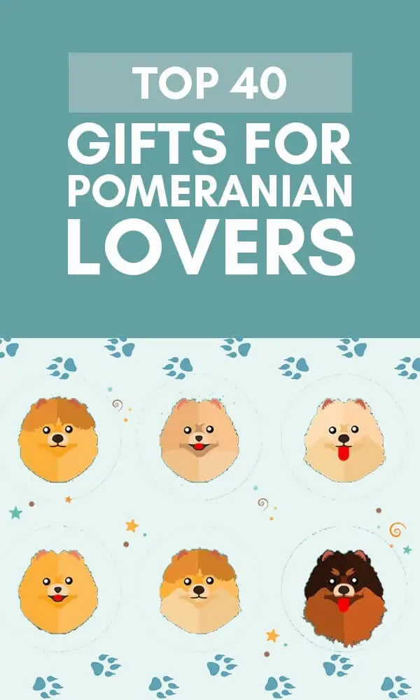 40+ Pomeranian Gifts & Ornaments For Pomeranian Lovers In 2022