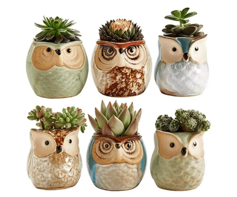 Owl Planter Set Gift For Secretaries