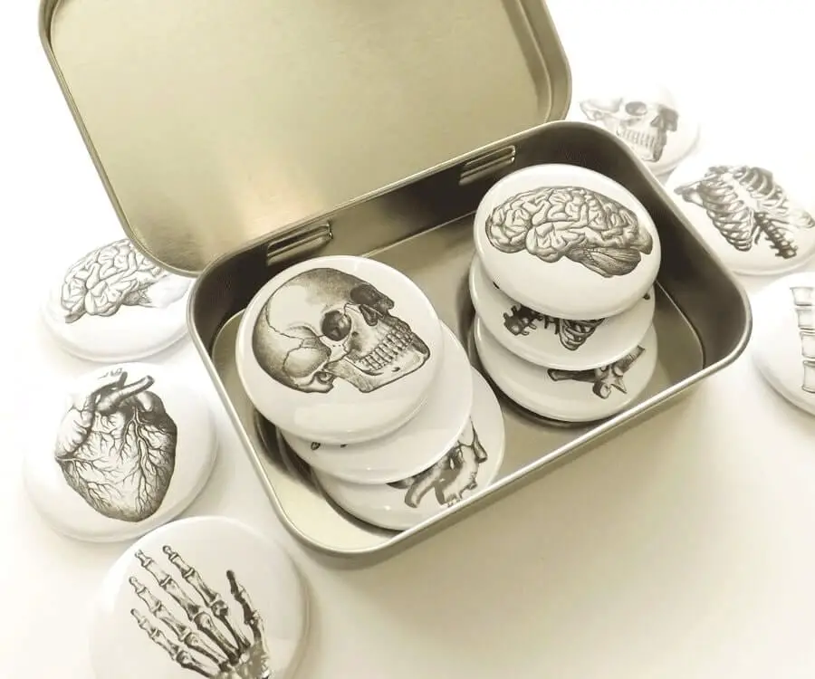 #50 gift ideas for doctors: anatomy magnet set