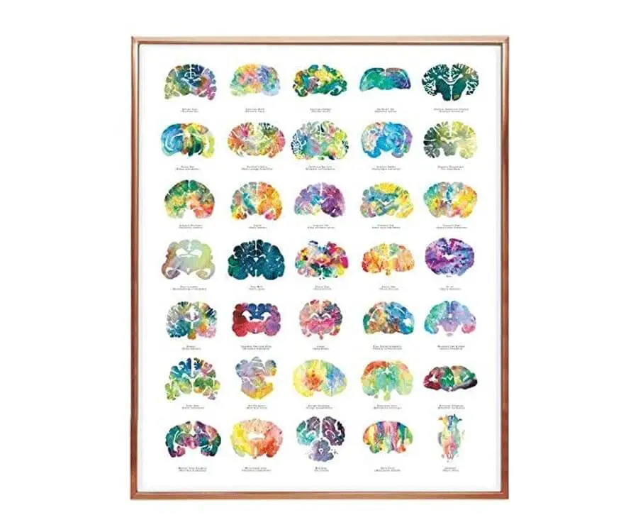 #44 gifts for doctors office: brain art poster
