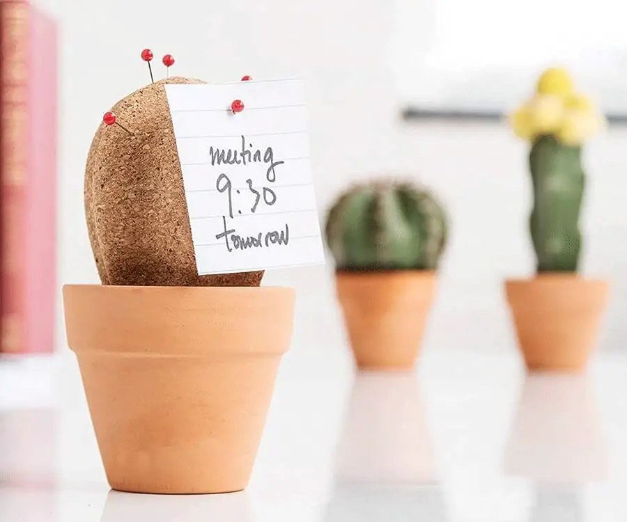 #6 secret santa ideas for work: cork office memo cactus