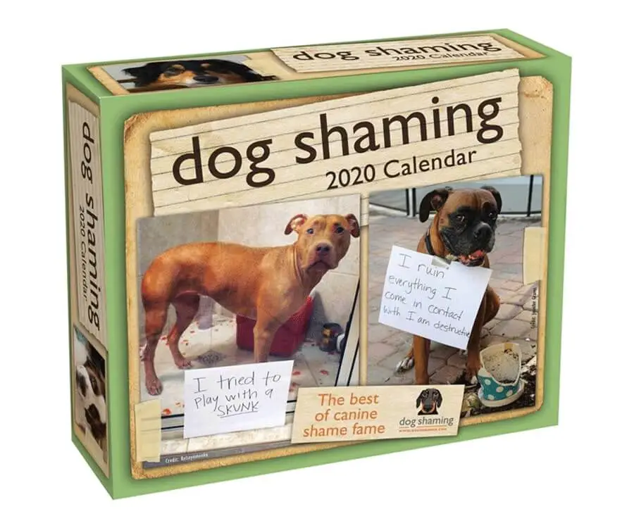 Dog Shaming Calendar 2020 Unsmushed