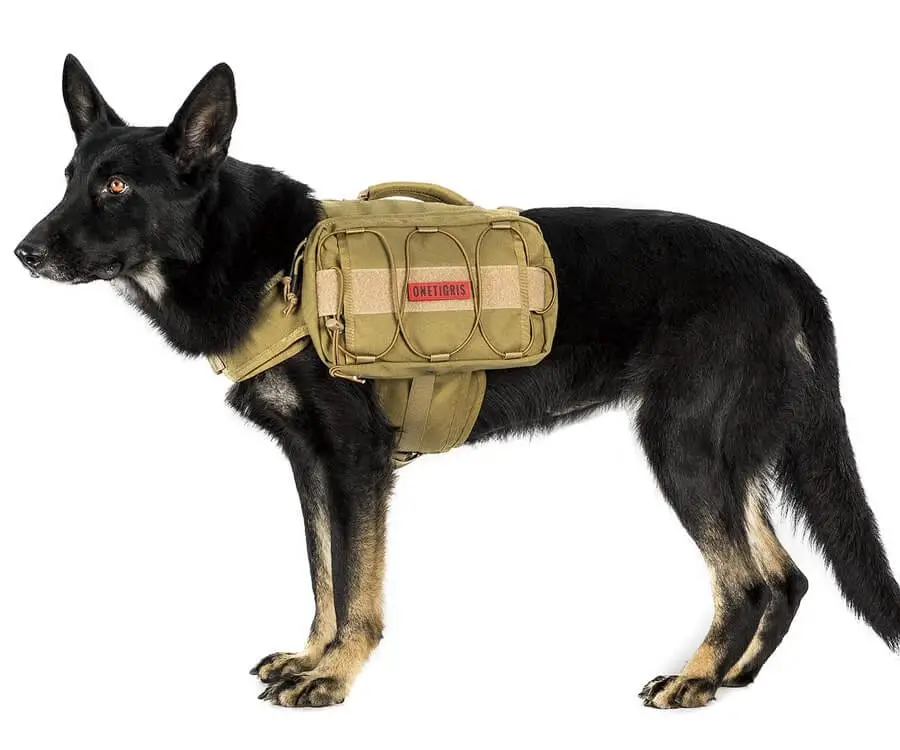 Dog Camping Backpack