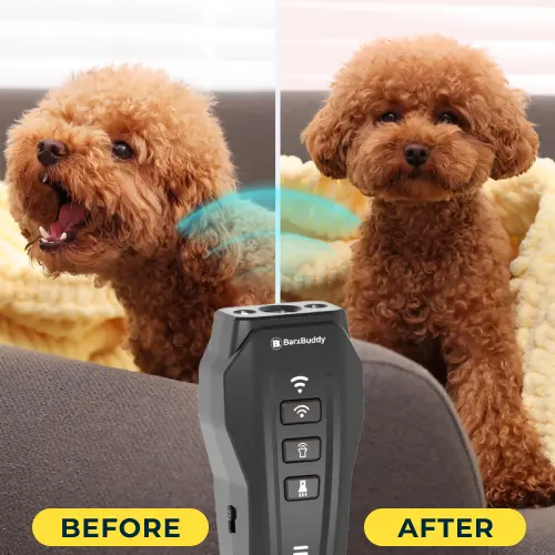 BarxBuddy - Stop Dog Barking Without The Stress