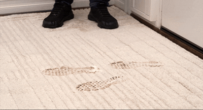 Bull Shot - Blasts Carpet Stains Away Without Scrubbing