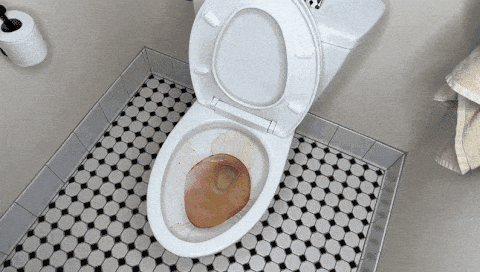 X-All Toilet Cleaner - Clean Your Toilet Without Scrubbing or Bending Over